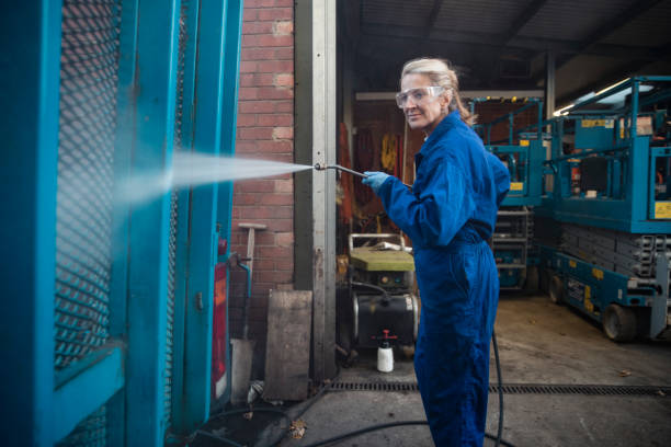 Best Soft Washing  in Rensselaer, IN