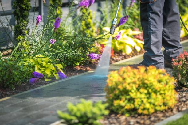 Best Driveway Pressure Washing  in Rensselaer, IN