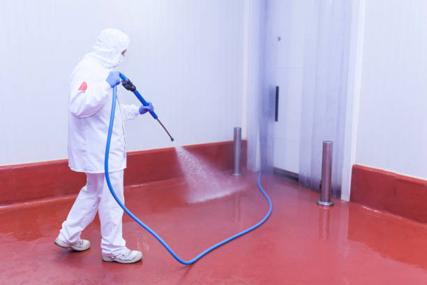 Professional Pressure Washing in Rensselaer, IN
