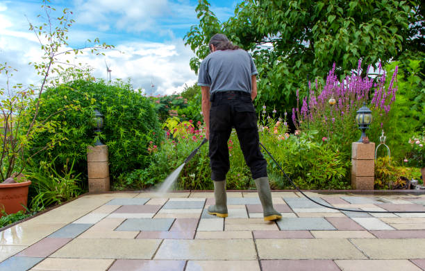Best Fence Cleaning  in Rensselaer, IN