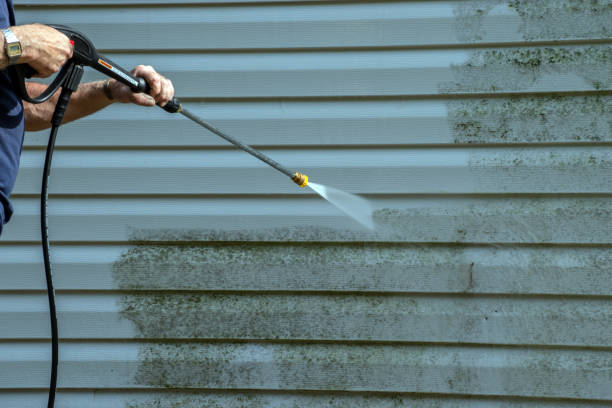 Best Building Exterior Washing  in Rensselaer, IN